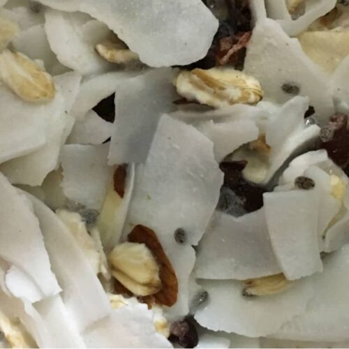 Coconut Cacao Overnight Oats