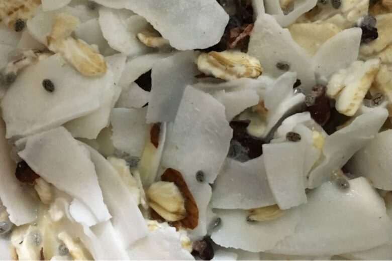 Coconut Cacao Overnight Oats