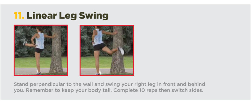 MYRTL Linear Leg Swing